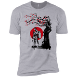 T-Shirts Heather Grey / X-Small Ryu Under The Sun Men's Premium T-Shirt