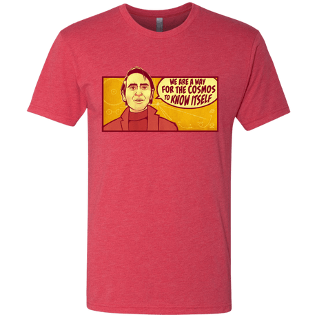 T-Shirts Vintage Red / S SAGAN Cosmos Men's Triblend T-Shirt