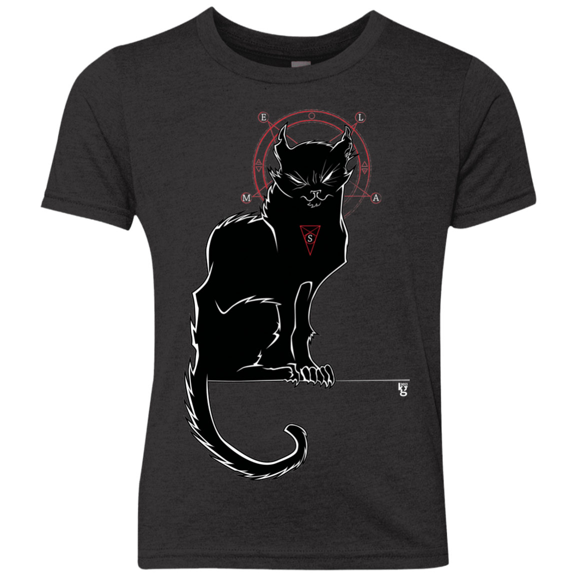 T-Shirts Vintage Black / YXS SALEM Youth Triblend T-Shirt