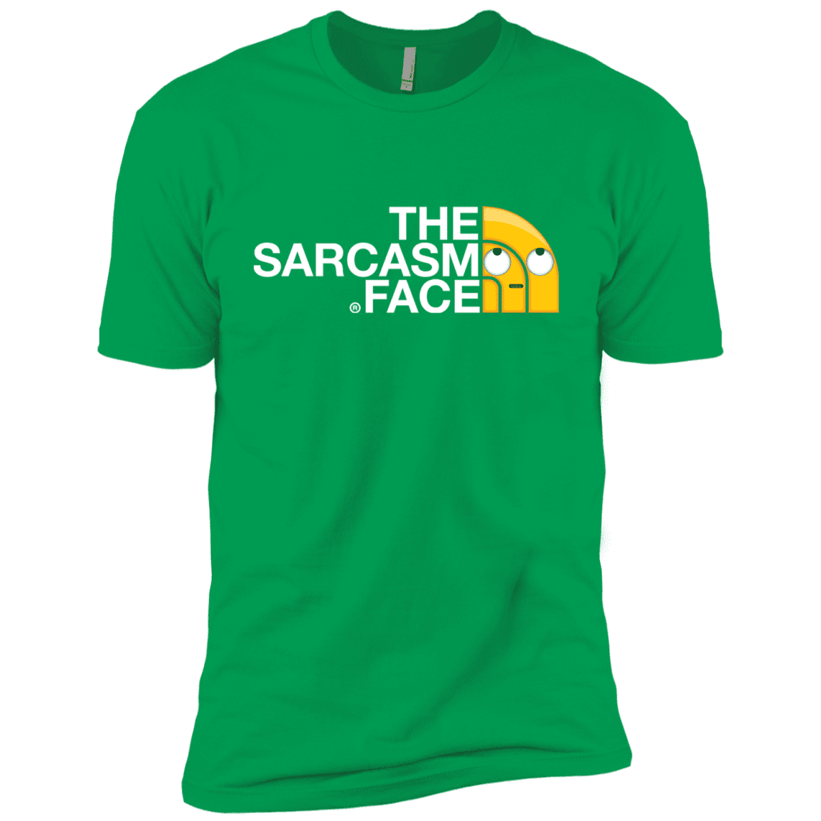 T-Shirts Kelly Green / YXS Sarcasm Face Boys Premium T-Shirt