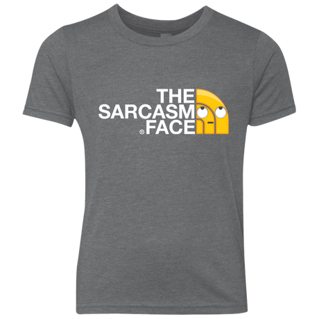 T-Shirts Premium Heather / YXS Sarcasm Face Youth Triblend T-Shirt