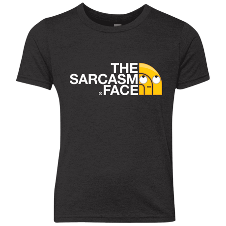 T-Shirts Vintage Black / YXS Sarcasm Face Youth Triblend T-Shirt