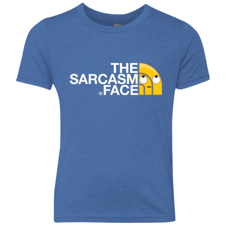 T-Shirts Vintage Royal / YXS Sarcasm Face Youth Triblend T-Shirt