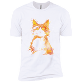 Scattered Boys Premium T-Shirt