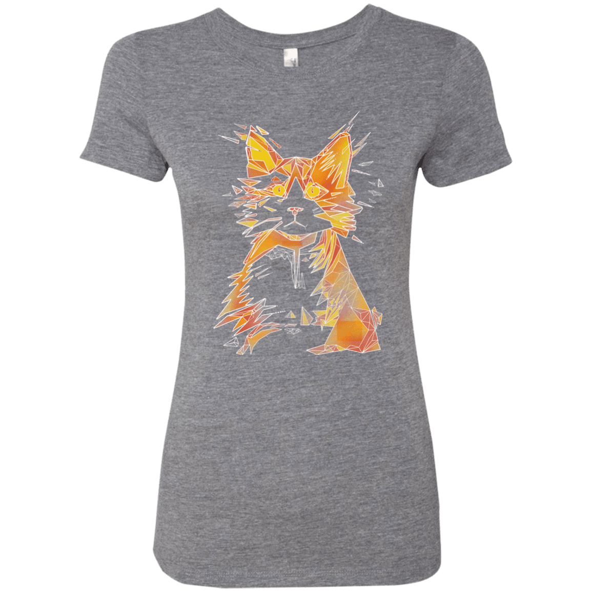 T-Shirts Premium Heather / S Scattered Women's Triblend T-Shirt