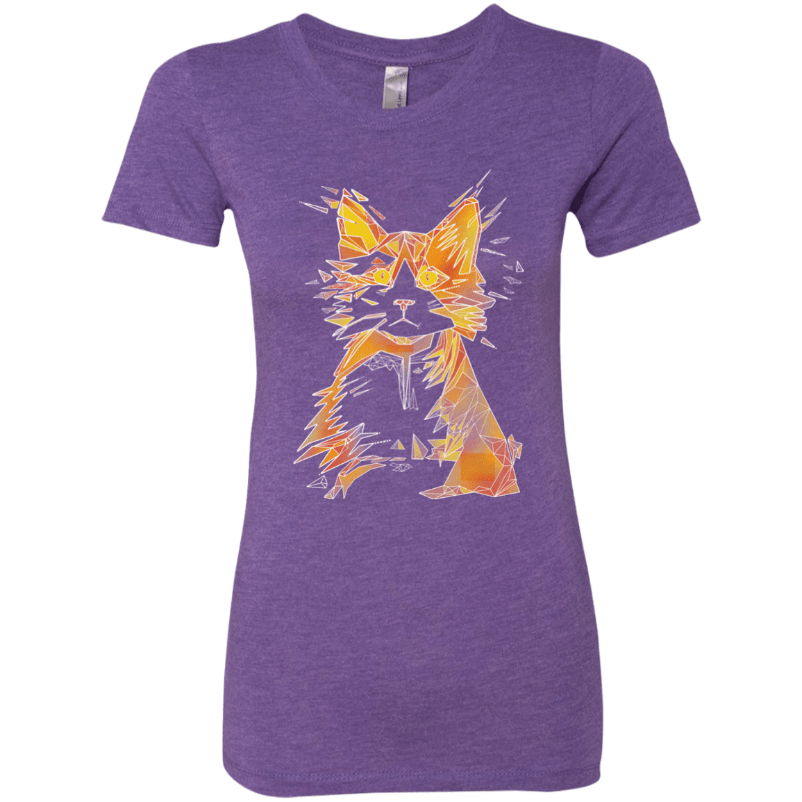 T-Shirts Purple Rush / S Scattered Women's Triblend T-Shirt
