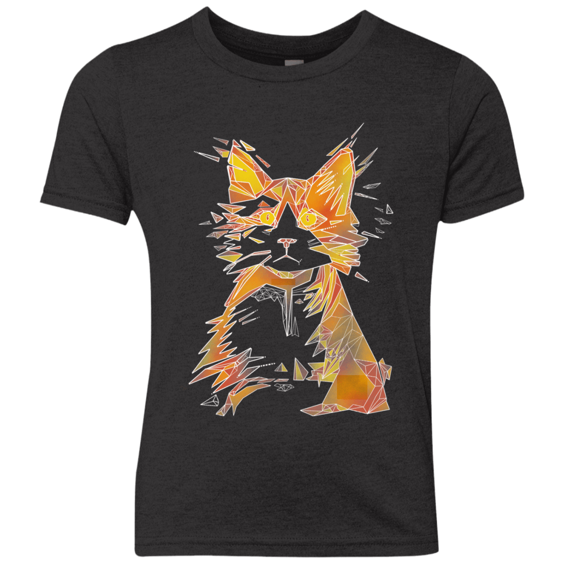 Scattered Youth Triblend T-Shirt