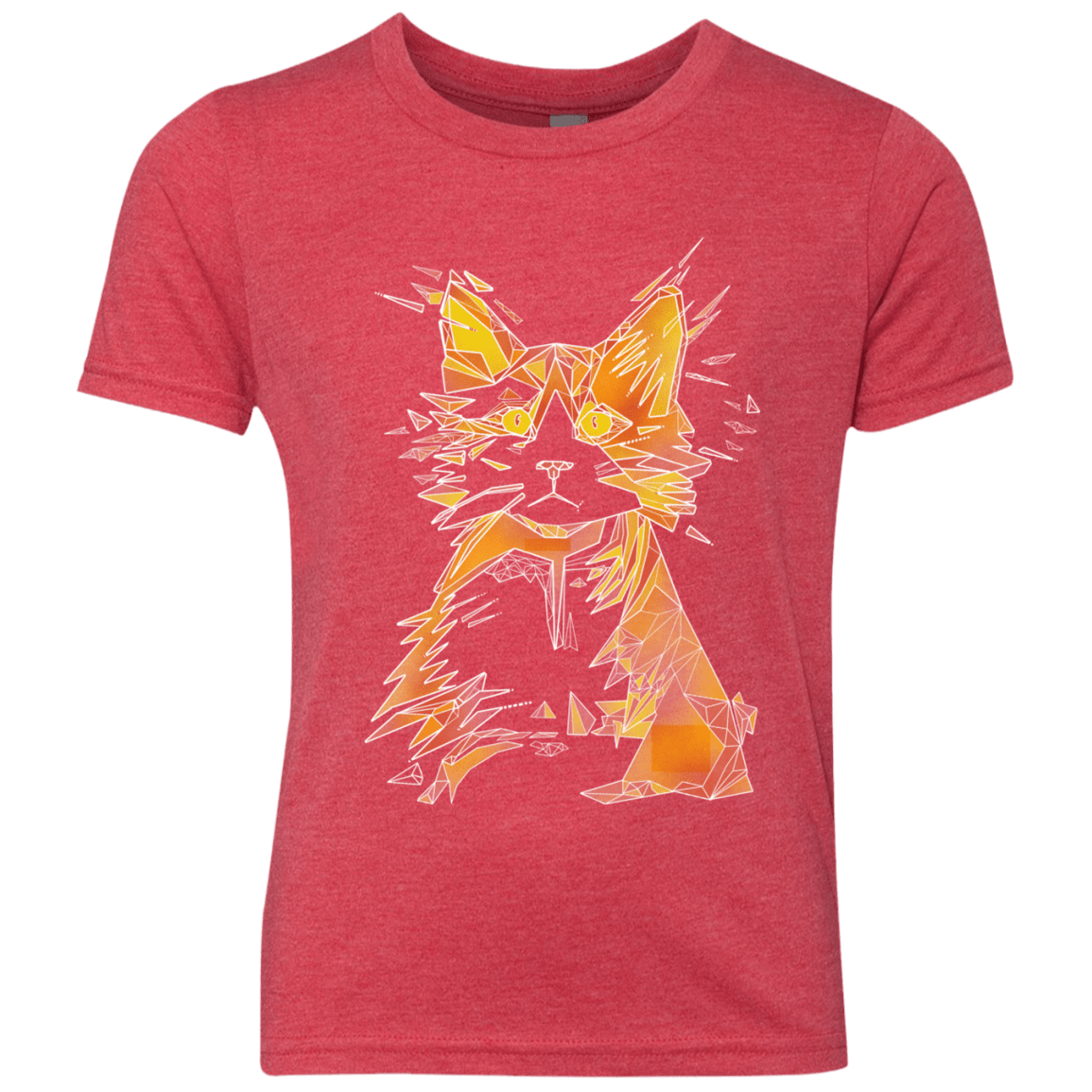 Scattered Youth Triblend T-Shirt