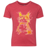 Scattered Youth Triblend T-Shirt