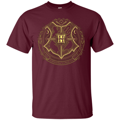 T-Shirts Maroon / Small School of Magic T-Shirt