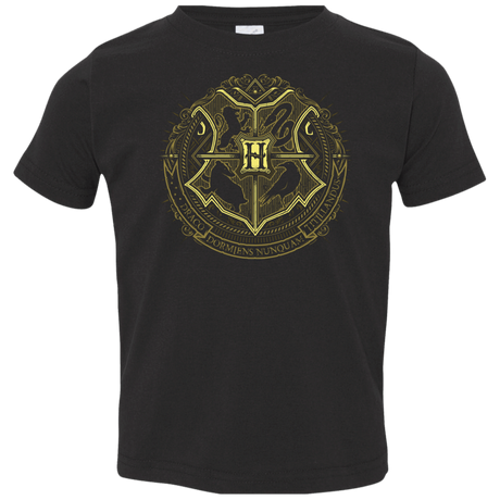 T-Shirts Black / 2T School of Magic Toddler Premium T-Shirt