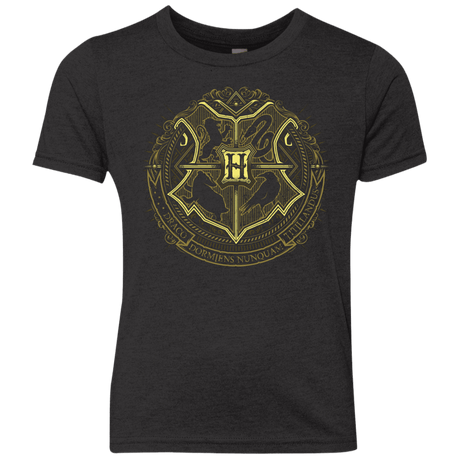 T-Shirts Vintage Black / YXS School of Magic Youth Triblend T-Shirt