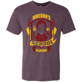 T-Shirts Vintage Purple / Small School of Slaying Men's Triblend T-Shirt