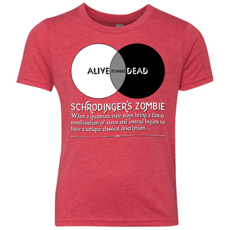 T-Shirts Vintage Red / YXS Schrödinger's Zombie Youth Triblend T-Shirt