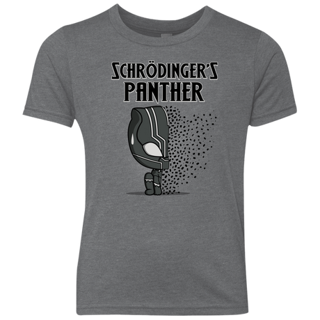 T-Shirts Premium Heather / YXS Schrodingers Panther Youth Triblend T-Shirt