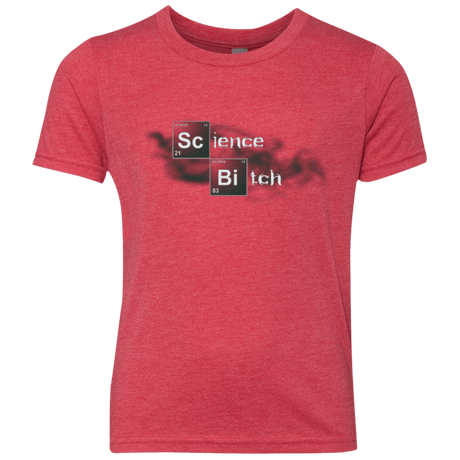 T-Shirts Vintage Red / YXS Science Bitch Youth Triblend T-Shirt