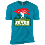 T-Shirts Turquoise / YXS Seven Kingdoms Boys Premium T-Shirt