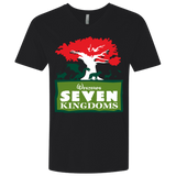 T-Shirts Black / X-Small Seven Kingdoms Men's Premium V-Neck