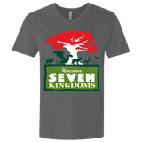 T-Shirts Heavy Metal / X-Small Seven Kingdoms Men's Premium V-Neck