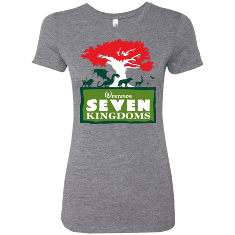 T-Shirts Premium Heather / S Seven Kingdoms Women's Triblend T-Shirt