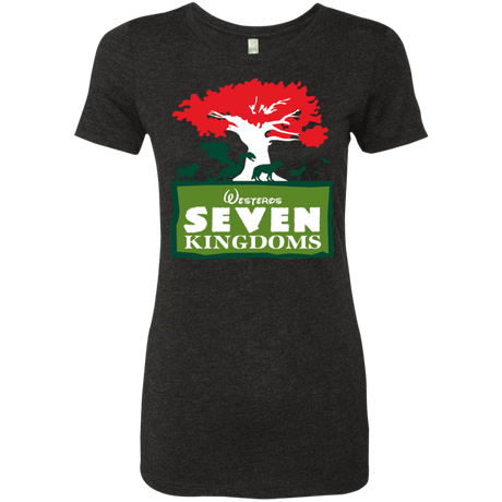 T-Shirts Vintage Black / S Seven Kingdoms Women's Triblend T-Shirt