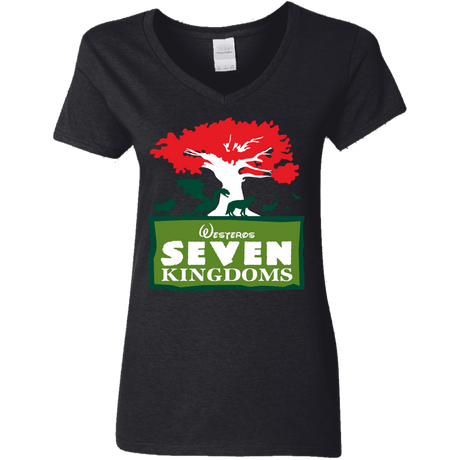 T-Shirts Black / S Seven Kingdoms Women's V-Neck T-Shirt