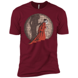 T-Shirts Cardinal / X-Small Shadow Mismatch Men's Premium T-Shirt