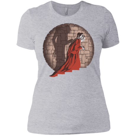 T-Shirts Heather Grey / X-Small Shadow Mismatch Women's Premium T-Shirt