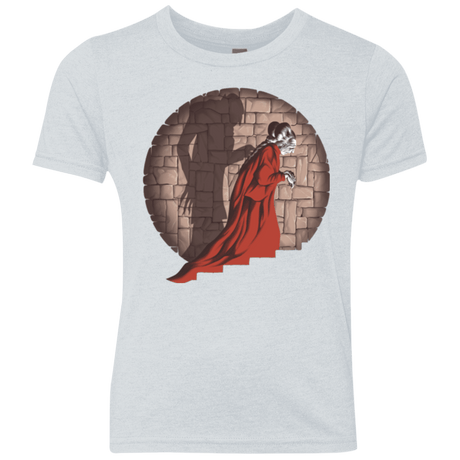 T-Shirts Heather White / YXS Shadow Mismatch Youth Triblend T-Shirt