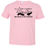 T-Shirts Pink / 2T Shauns Last Chance Toddler Premium T-Shirt