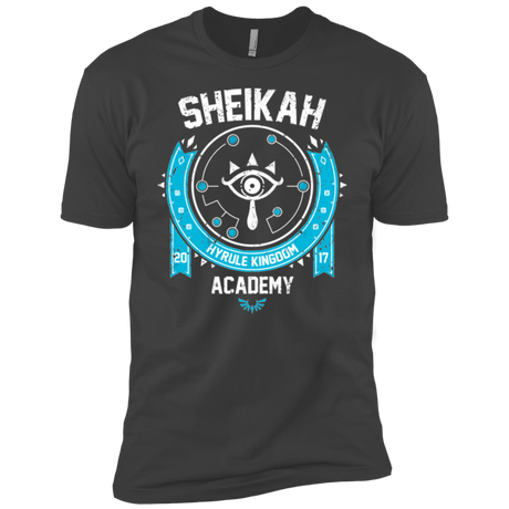 T-Shirts Heavy Metal / YXS Sheikah Academy Boys Premium T-Shirt