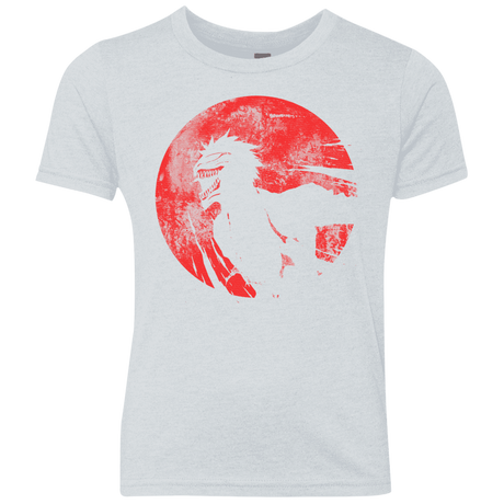 T-Shirts Heather White / YXS Shinigami Mask Youth Triblend T-Shirt