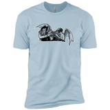 T-Shirts Light Blue / YXS Shiver Me Tentacles Boys Premium T-Shirt