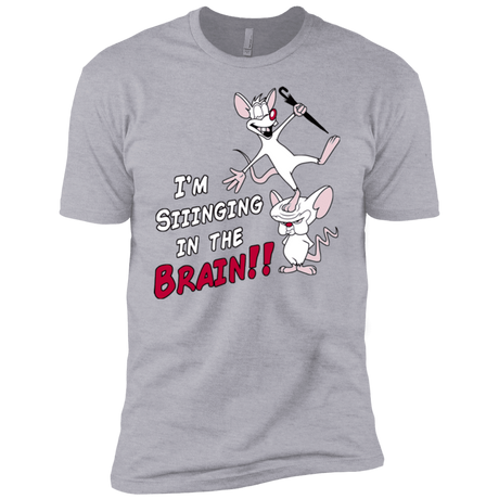 T-Shirts Heather Grey / YXS Singing In The Brain Boys Premium T-Shirt