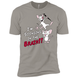 T-Shirts Light Grey / YXS Singing In The Brain Boys Premium T-Shirt