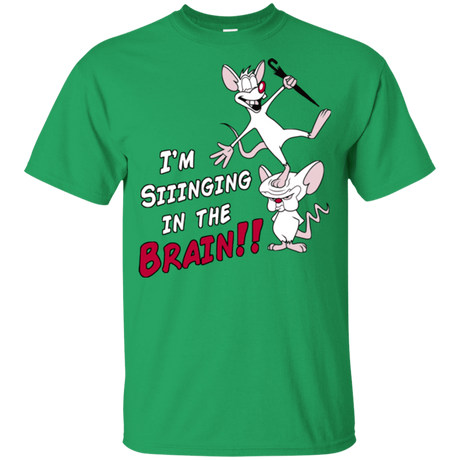 T-Shirts Irish Green / YXS Singing In The Brain Youth T-Shirt