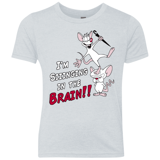 T-Shirts Heather White / YXS Singing In The Brain Youth Triblend T-Shirt