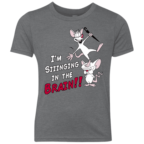 T-Shirts Premium Heather / YXS Singing In The Brain Youth Triblend T-Shirt