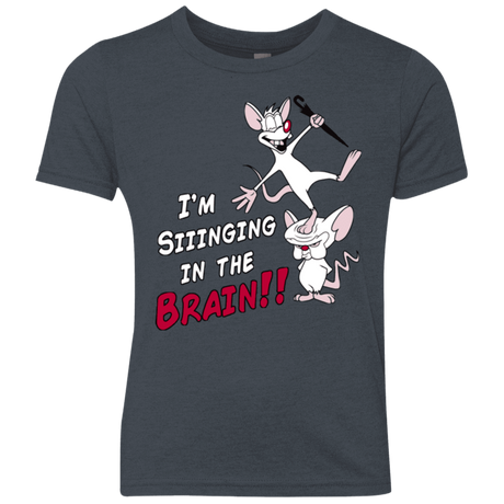 T-Shirts Vintage Navy / YXS Singing In The Brain Youth Triblend T-Shirt