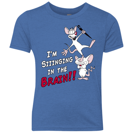 T-Shirts Vintage Royal / YXS Singing In The Brain Youth Triblend T-Shirt
