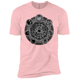 T-Shirts Light Pink / YXS Sins Shield Boys Premium T-Shirt
