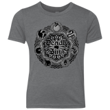 T-Shirts Premium Heather / YXS Sins Shield Youth Triblend T-Shirt