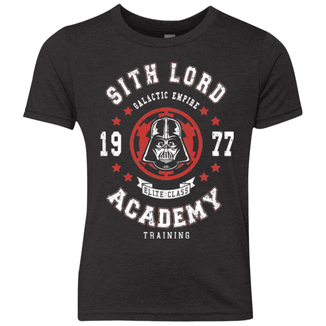 T-Shirts Vintage Black / YXS Sith Lord Academy 77 Youth Triblend T-Shirt