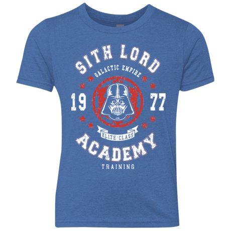 T-Shirts Vintage Royal / YXS Sith Lord Academy 77 Youth Triblend T-Shirt