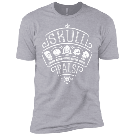 T-Shirts Heather Grey / YXS Skull Pals Boys Premium T-Shirt