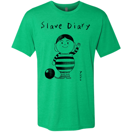 T-Shirts Envy / S Slave Diary Men's Triblend T-Shirt