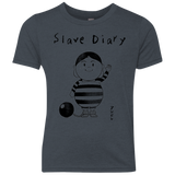 Slave Diary Youth Triblend T-Shirt