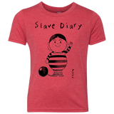 Slave Diary Youth Triblend T-Shirt