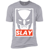 T-Shirts Heather Grey / YXS SLAY Boys Premium T-Shirt