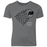 T-Shirts Premium Heather / YXS Sloths.. are.. co.. Youth Triblend T-Shirt